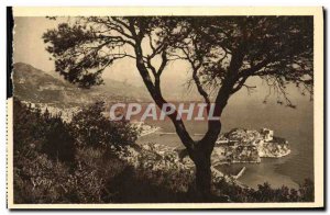 Old Postcard Cote D Azur Monte Carlo View of Together