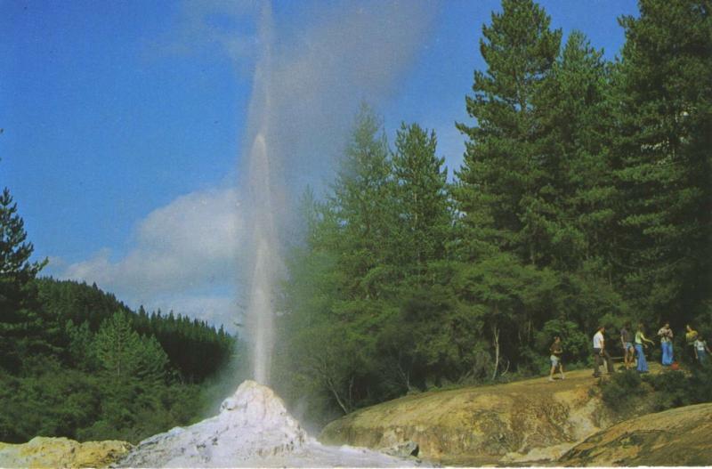 Lady Knox Geyser Waiotapu New Zealand NZ Unused Postcard D15