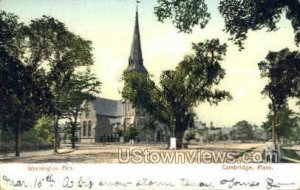 Washington Elm - Cambridge, Massachusetts MA Postcard