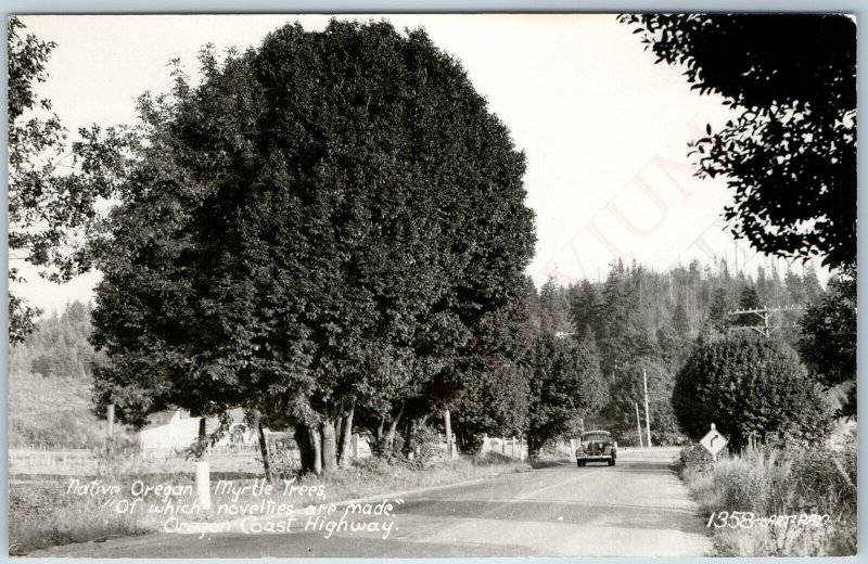 c1940s Oregon Coast Highway OR RPPC Myrtle Tree Art Ray #1358 Real Photo PC A199