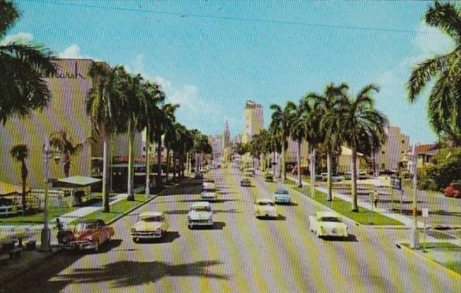 Florida Miami Biscayne Boulevard