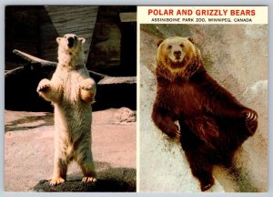 Polar And Grizzly Bears, Assiniboine Park Zoo, Winnipeg, Manitoba, Postcard