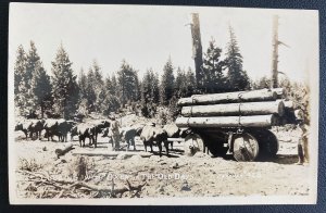 Mint USA Real Picture Postcard Logging With Oxen In The Old Days