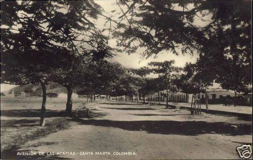 colombia, SANTA MARTA, Avenida de las Acacias (1930s) RPPC