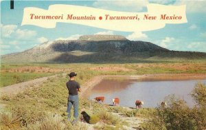 Baxtone Cowboy dog cattle 1953 route 66 Tucumcari Mexico  Postcard 20-3837