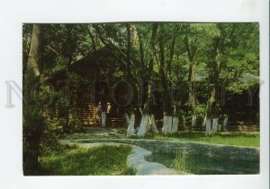 459021 USSR 1977 year Novorossiysk restaurant Forester's hut postcard