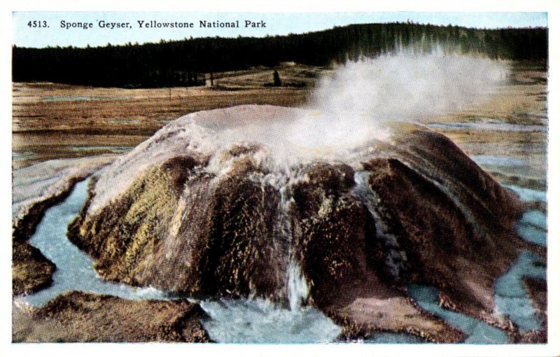 Yellowstone National Park Sponge Geyser