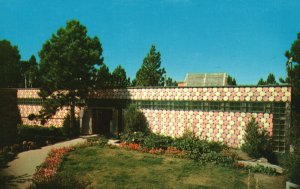 Vintage Postcard Reptile House Black Hills Reptile Gardens Rapid City SD