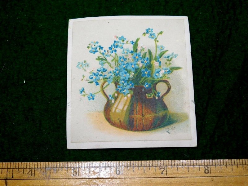 1870s-80s Bilyea & Kingsley, Watertown, NY Lovely Blue Flowers Vase Card F16