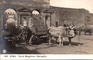 Cows Ox Drawn Carts Porta Maggiore Dettagilo Roma Rome