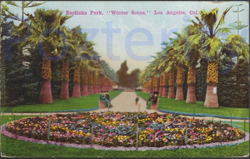 EASTLAKE PARK WINTER SCENE 19??   LOS ANGELES CALIFORNIA