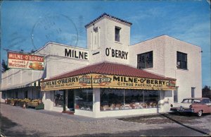St. Petersburg Florida FL Milne O'Berry Inc. Classic 1960s Car Vintage Postcard
