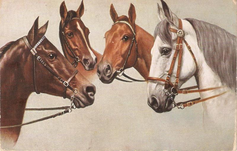 Four Horses. Chums · Tuck Oiette Postcrd # 9976