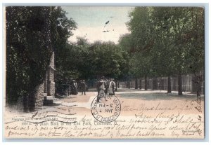 1906 Main Walk In The Zoo Park Tree-lined Cincinnati Ohio OH Antique Postcard 