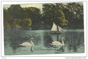 Swans , Public Gardens , Halifax , Nova Scotia , Canada , 00-10s