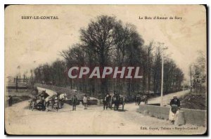 Postcard Old Sury le Comtal Le Bois d'Amour Sury