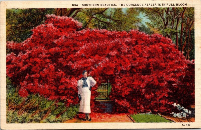 Southern Beauties Azalea Full Bloom Linen Divided Back Gulf Coast Card Postcard 