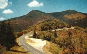 Postcard Mount Mitchell Intersection On Blue Ridge Parkway Asheville Post Card