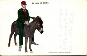 Donkeys A Pair Of Jacks 1907