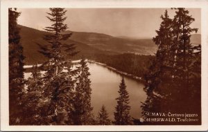 Czech Republic Sumava Certovo Jezero Böhmerwald Teufelssee Vintage RPPC C129