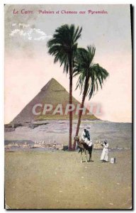 Postcard Ancient Egypt Egypt Cairo Palms and camel at the Pyramids