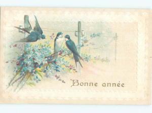 Divided-Back BIRDS SCENE Pretty Postcard AA8831