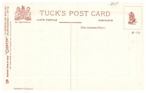 Dog  , O'er the open still careering  ( Fox Hunt )