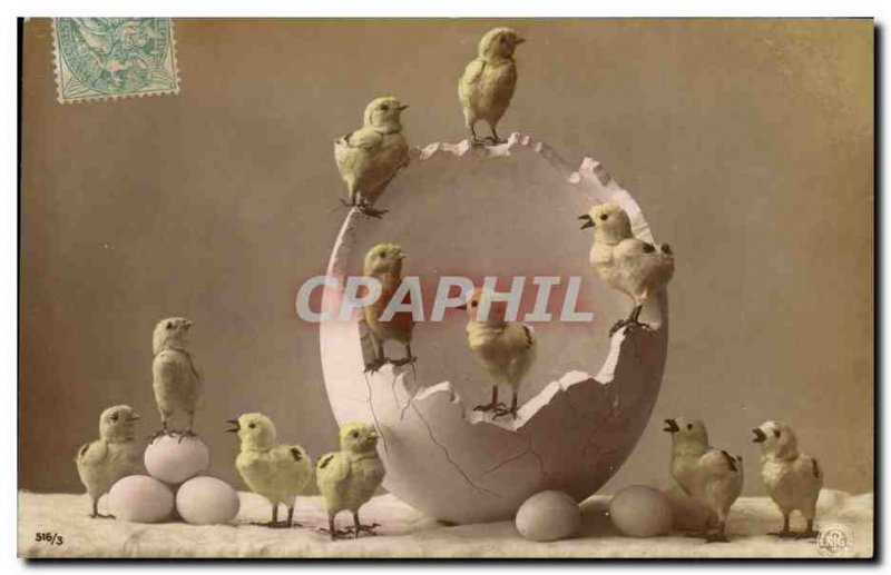 Old Postcard Chicks