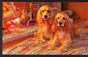 Greetings From Falmotuh,VA,Two Dogs by the Fireplace