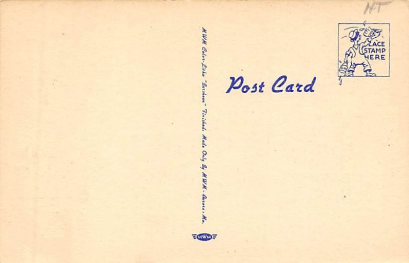 Beauty Bathing Beauty Unused 