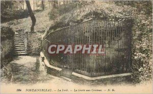 Old Postcard Fontainebleau La Foret Cave with Crystals