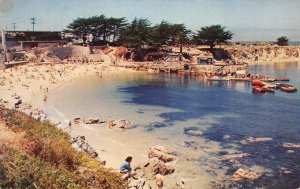 Pacific Grove Beach, California Glass Bottom Boat Dock 1956 Vintage Postcard