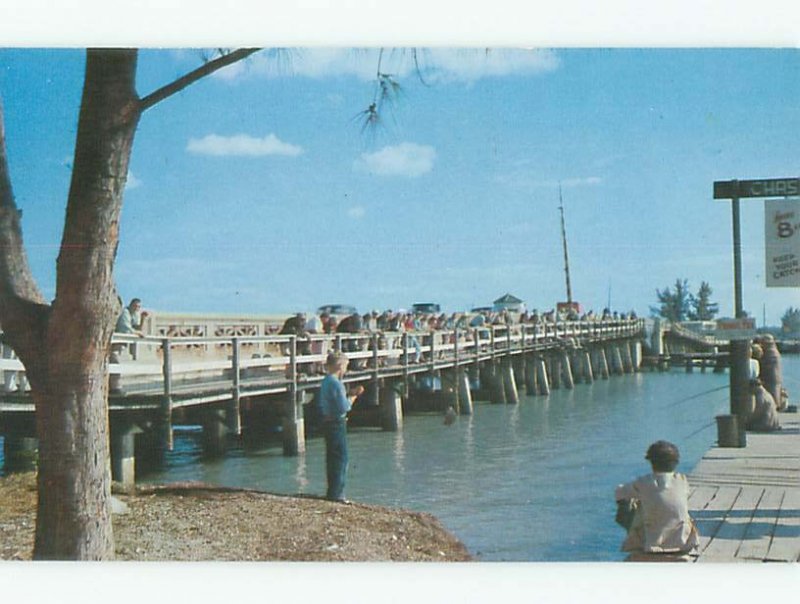 Pre-1980 FISHING SCENE St. Petersburg Florida FL AF5621