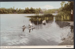 Shropshire Postcard - Swans on The Mere, Ellesmere   RT2304