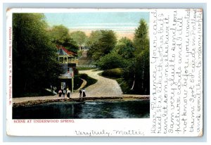 1904 Scene at Underwood Spring Falmouth MA Hallowell MA PMC Posted Postcard