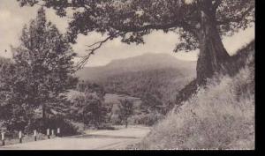Vermont Green Mountains Camels Hump  Collotype