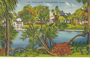 Florida Tarpon Springs Beautiful Spring Bayou