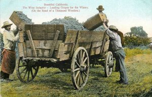 Postcard C-1910 Grape Wagon Wine Industry Occupation PNC CA24-3263