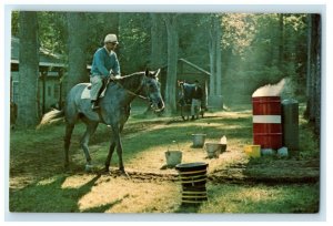 Saratoga Springs NY, Early Morning In Horse Haven At Saratoga Track Postcard 