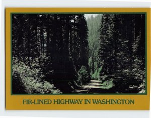 Postcard Fir-Lined Highway In Washington