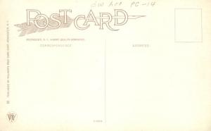 Upper Falls on Genesee River - Rochester, New York - WB