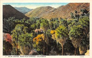 Palm Canyon Palm Springs CA