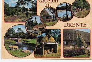 BF13688  mooi drente types netherland  front/back image