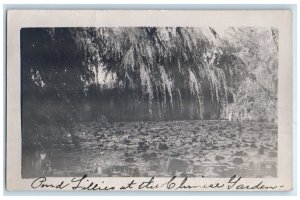 1909 Pond Lilies At The Glunise Garden Deming New Mexico NM RPPC Photo Postcard