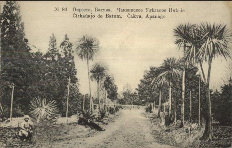 Cirkauajo de Batum Batam Island Indonesia Russian Issued c1910 Postcard jrf