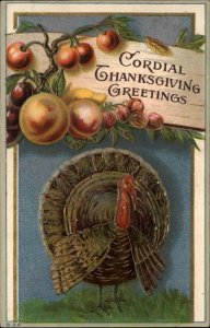 Thanksgiving Turkey Fruit Border c1910 Vintage Postcard