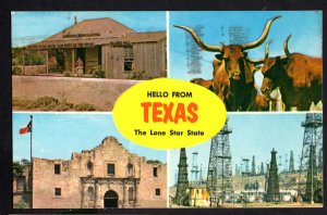 Texas MultiView Hello from TEXAS The Lone Star State pm1977 - Chrome