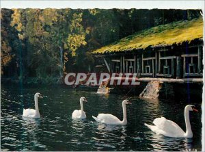 Modern Postcard Gerardmer Vosges Picturesque Lake of the Swans