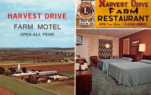 Harvest Drive Farm Motel and Restaurant Gordonville, Pennsylvania PA Postcards