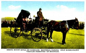 Canada - QC, Montreal. Mt. Royal. Horse-Drawn Carriage